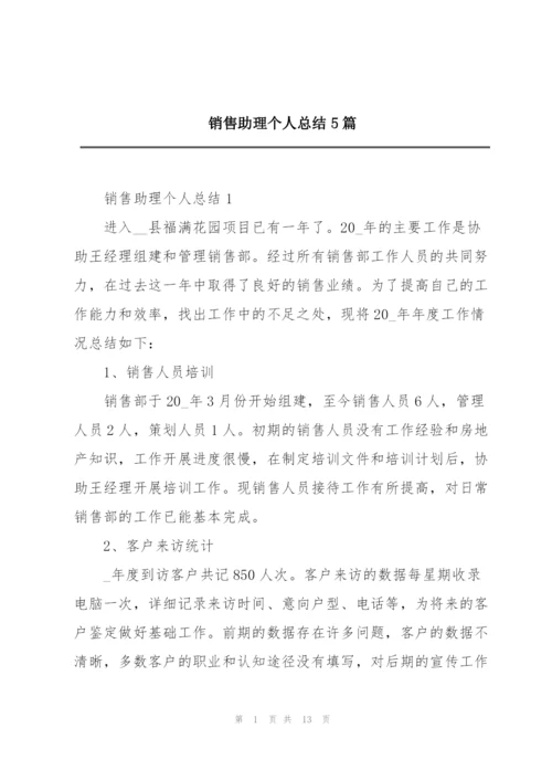 销售助理个人总结5篇.docx