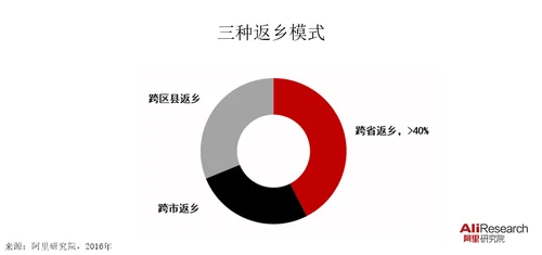 年返乡电商创业研究报告