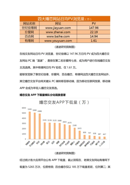 互联网婚恋市场分析报告.docx