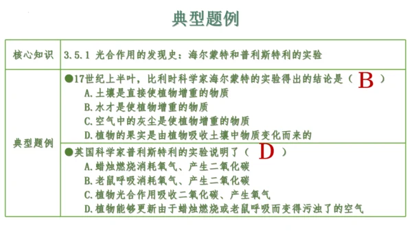 第三单元 植物的生活（单元复习课件）2023-2024学年七年级生物上册同步精品课件（人教版）(共3