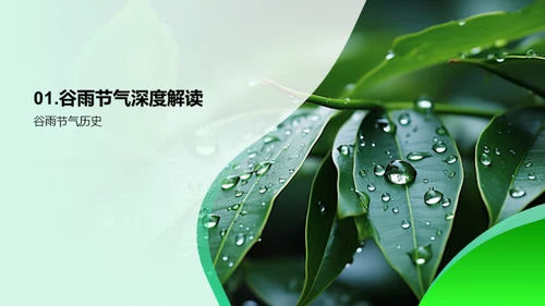 谷雨节气与环保生活