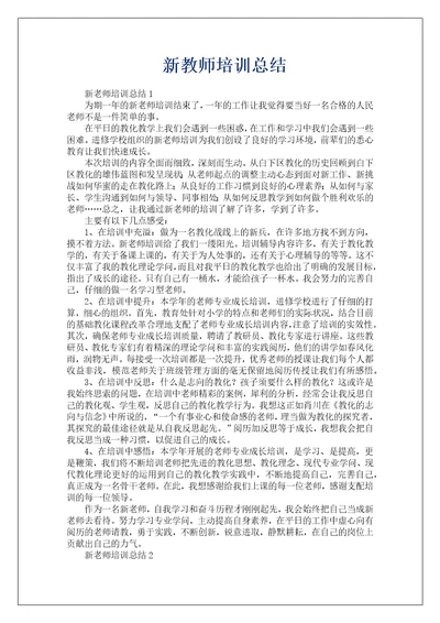 新教师培训总结