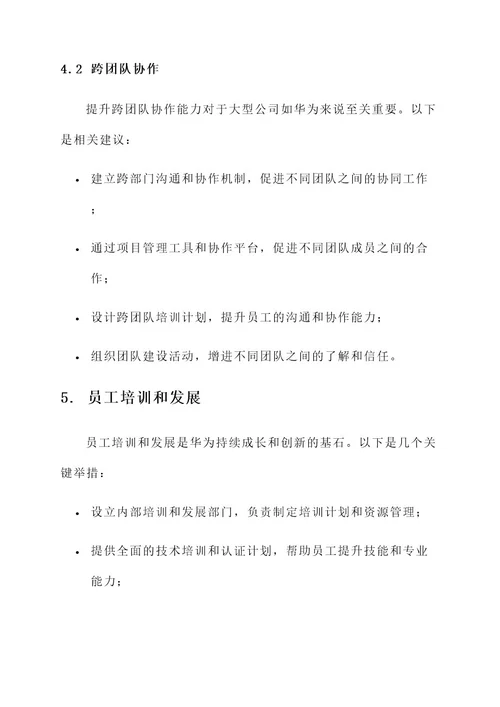 华为管理实践方案