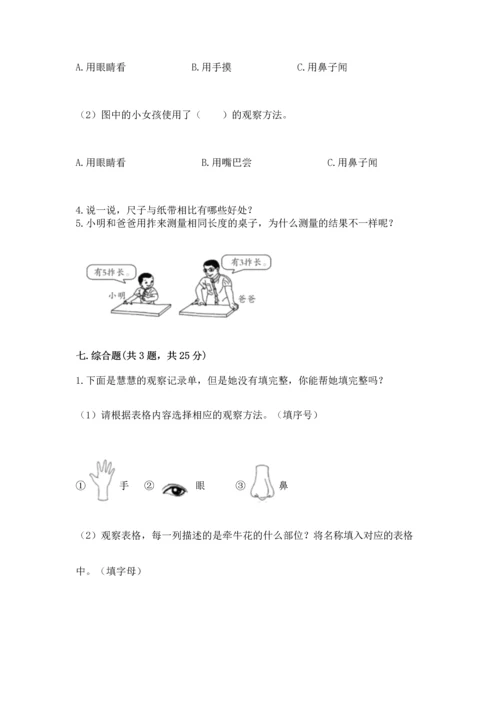 教科版一年级上册科学期末测试卷附参考答案（轻巧夺冠）.docx