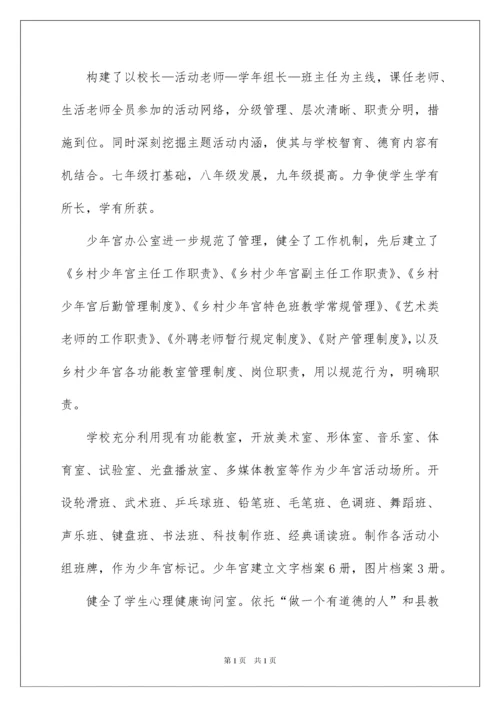 2022乡村学校少年宫活动自查报告.docx