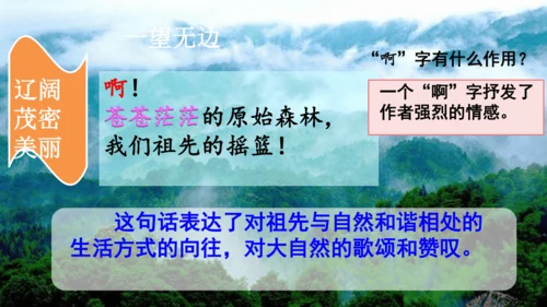 23祖先的摇篮（课件）