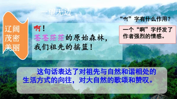 23祖先的摇篮（课件）