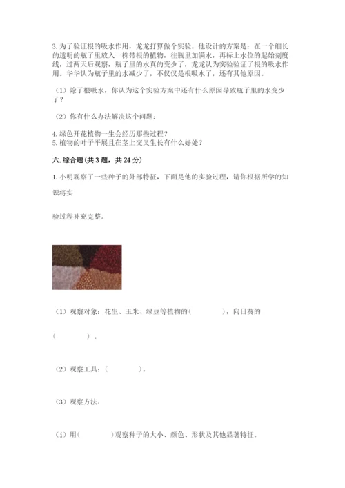 科学四年级下册第一单元《植物的生长变化》测试卷【完整版】.docx