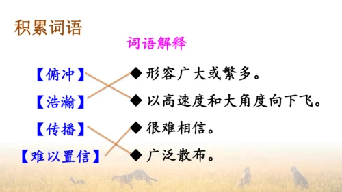 7 什么比猎豹的速度更快 第一课时 课件