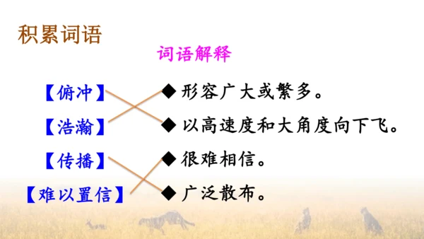 7 什么比猎豹的速度更快 第一课时 课件