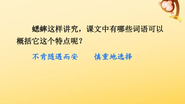 11 蟋蟀的住宅  课件