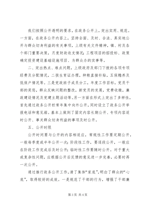 乡镇政务公开工作汇报.docx