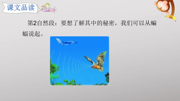 6 夜间飞行的秘密   课件