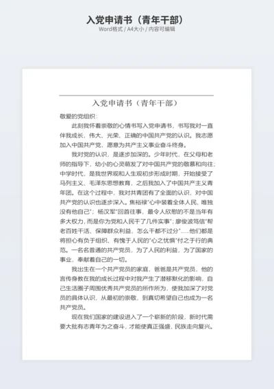 入党申请书（青年干部）