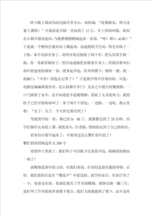 繁忙的寒假精选作文500字