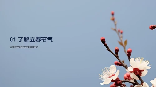 立春节气新媒传播