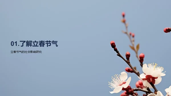 立春节气新媒传播