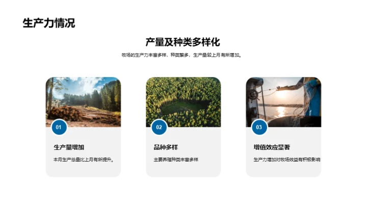 牧场运营与效益提升