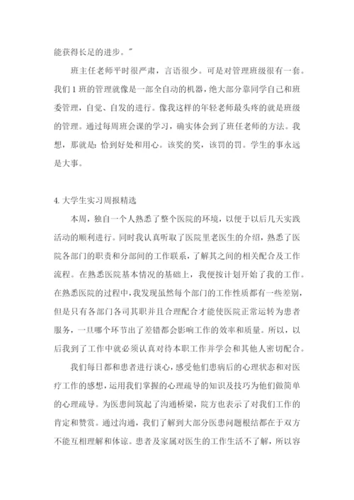 大学生实习周报【精选5篇】.docx