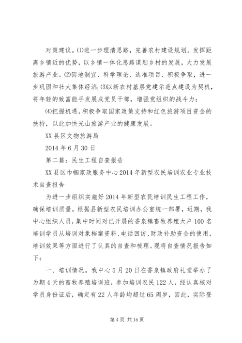 第一篇：民生工程自查报告.docx