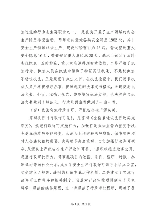 安全生产行政执法工作调研报告.docx