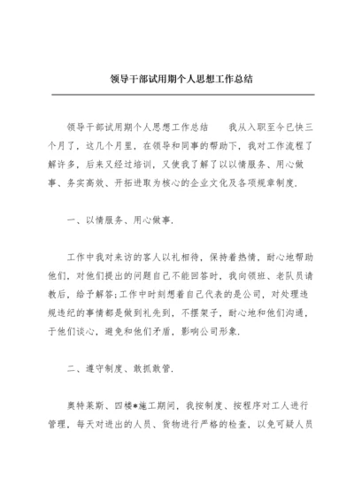 领导干部试用期个人思想工作总结.docx