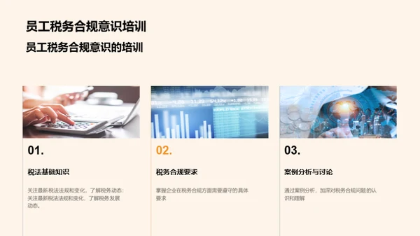 税务合规指导