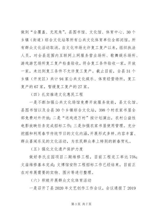 文体局上半年工作总结及下半年安排.docx