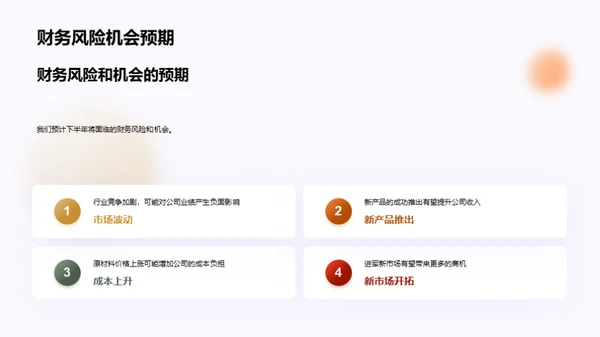 财务半年度审视