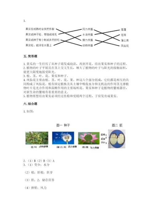 教科版科学四年级下册第一单元《植物的生长变化》测试卷精品含答案.docx