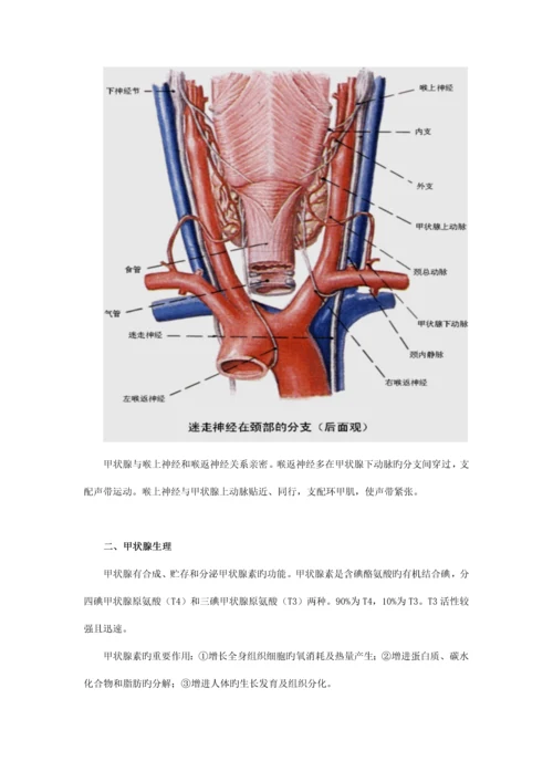 2023年执业医师最新最全考点解析系列内分泌部分甲状腺疾病.docx