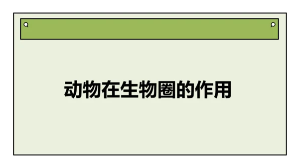 人教版生物八上 5.3动物在生物圈中的作用(共25张PPT)