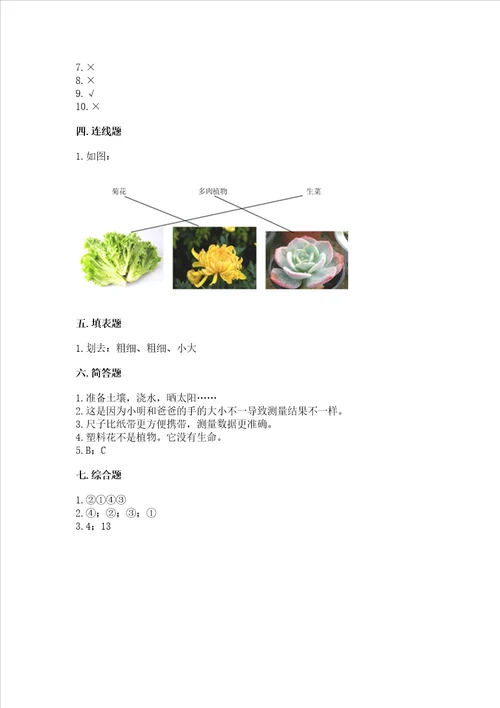 教科版一年级上册科学期末测试卷可打印