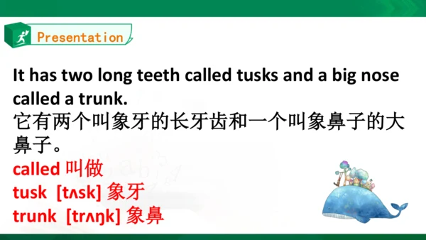 Unit3 Animals Lesson3同步课件