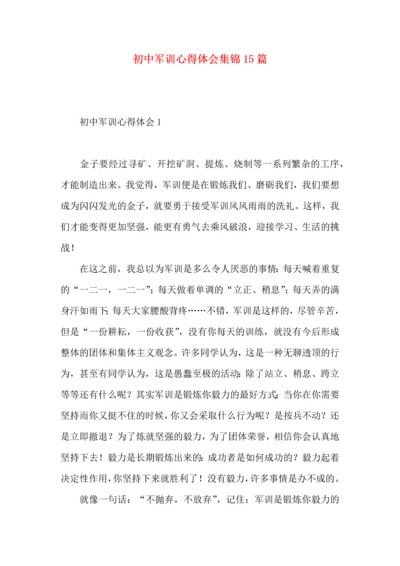 初中军训心得体会集锦15篇.docx