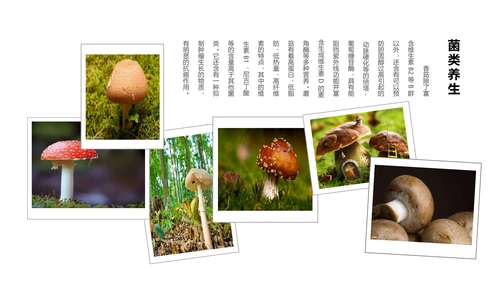 蘑菇菌类养生文化宣传动态PPT模板