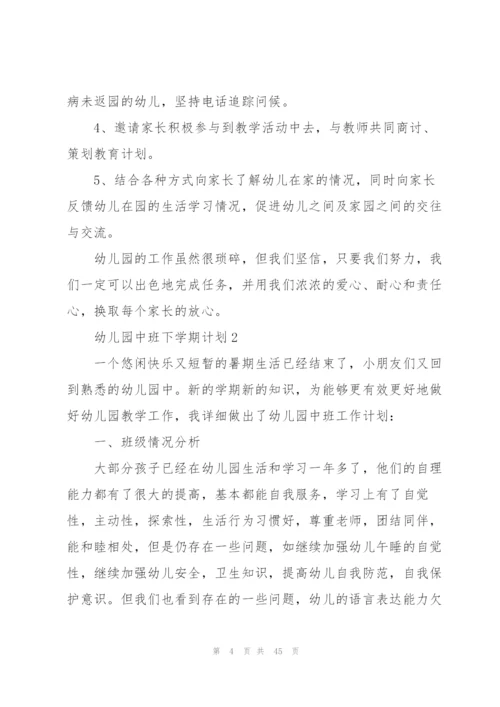 幼儿园中班下学期计划.docx