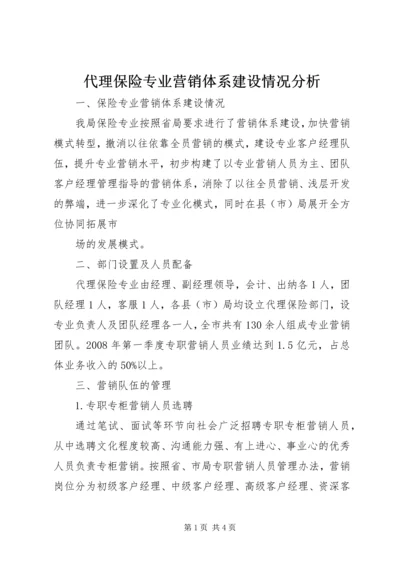 代理保险专业营销体系建设情况分析.docx