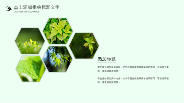 清明节气清新绿色清明节踏青PPT模板