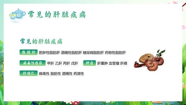 春暖花开春季养生，养肝通用PPT模板