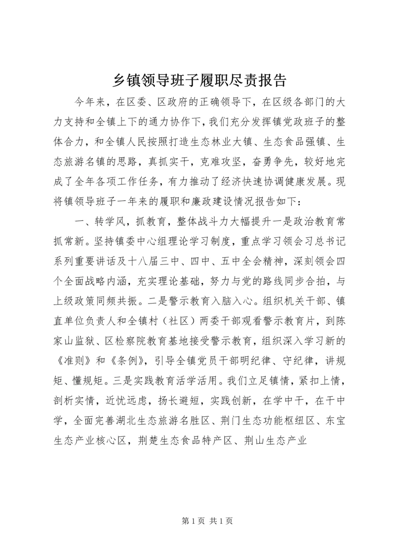 乡镇领导班子履职尽责报告.docx