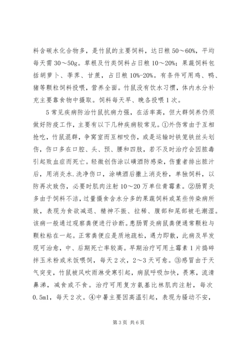 竹鼠养殖计划书 (4).docx