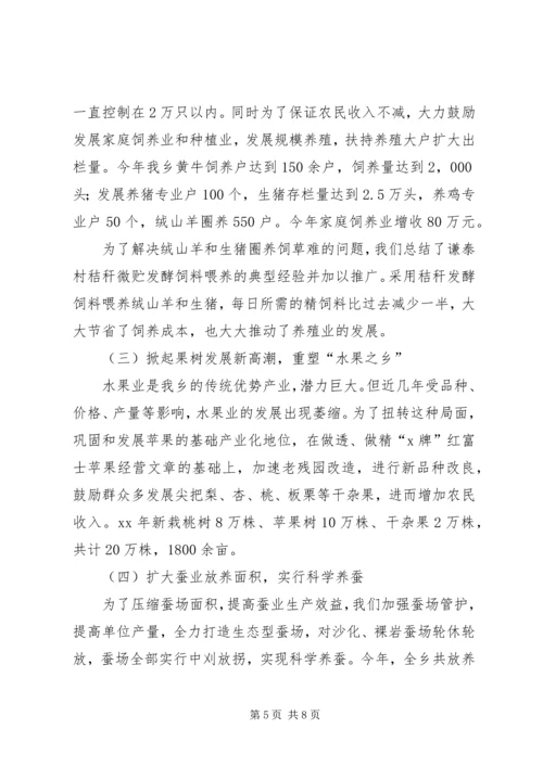 乡镇年终工作总结及工作安排总结.docx