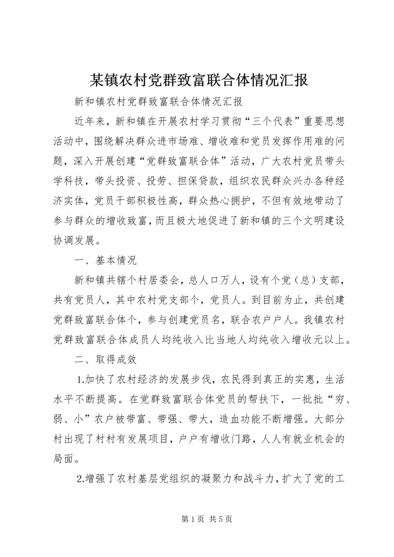 某镇农村党群致富联合体情况汇报 (2).docx