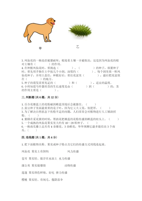 教科版四年级下册科学第一单元《植物的生长变化》测试卷精品【全优】.docx
