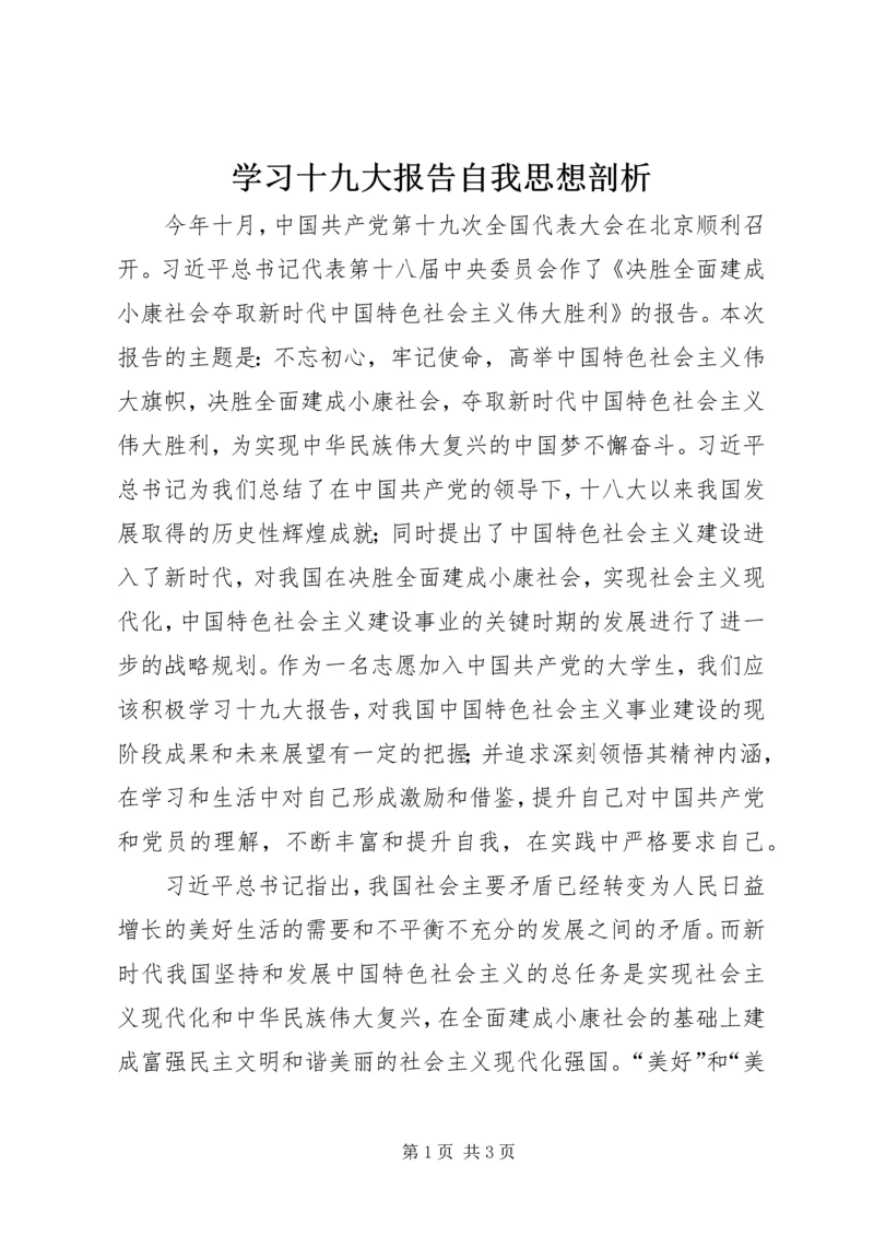 学习十九大报告自我思想剖析 (3).docx