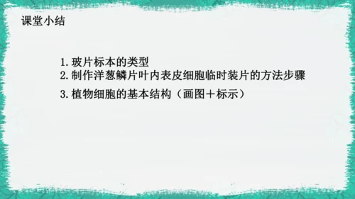 人教版（2024）七年级上册1.2.2 植物细胞 课件(共19张PPT)