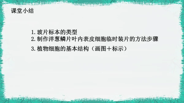 人教版（2024）七年级上册1.2.2 植物细胞 课件(共19张PPT)