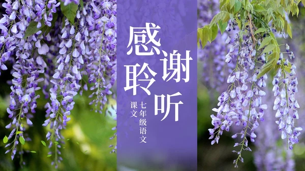 实拍风紫藤萝瀑布七年级语文课件PPT模板