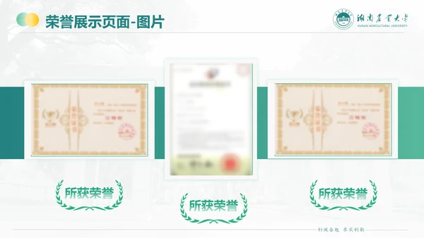 湖南农业大学毕业课题答辩通用PPT模板